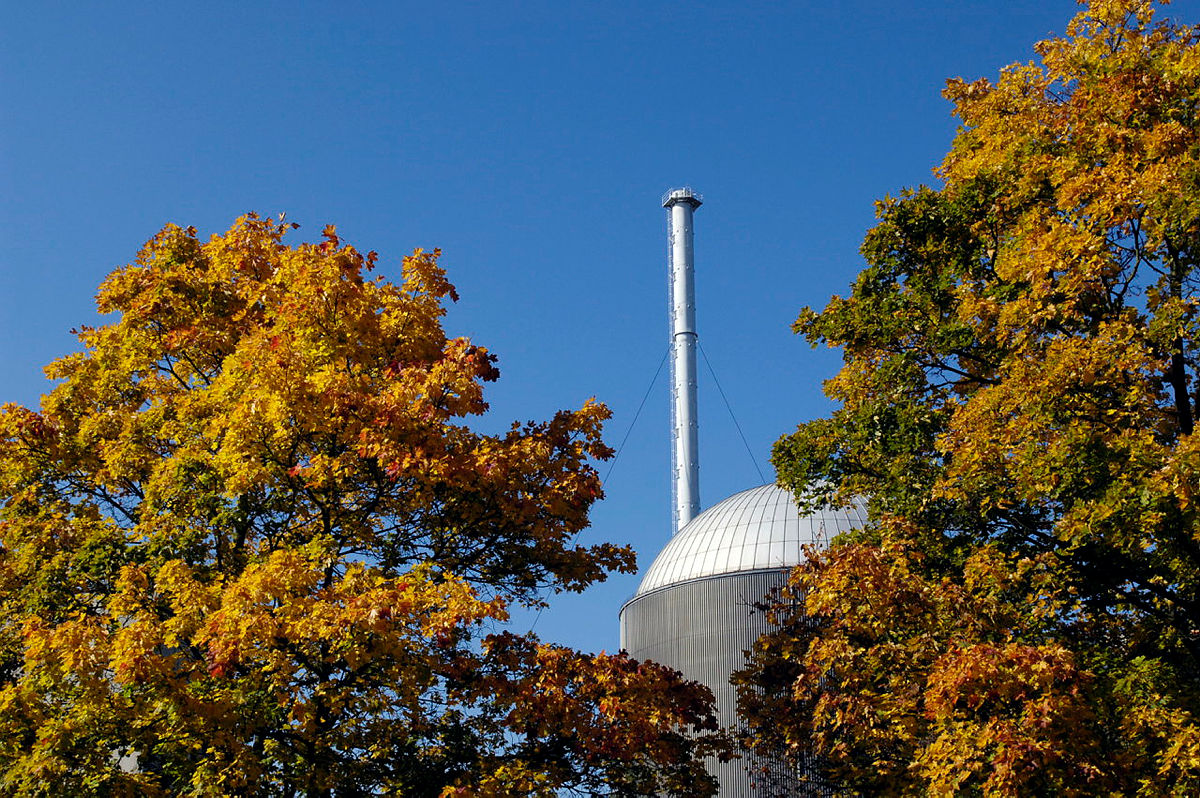 Herbstlich gefärbte Bäume vor Gebäude