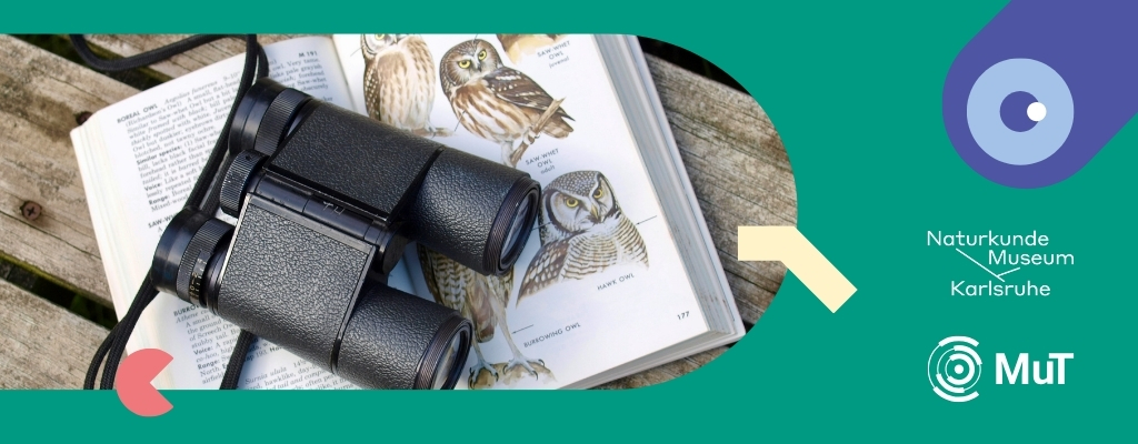 Grafik mit Foto und Logos vom Naturkundemuseum und MuT