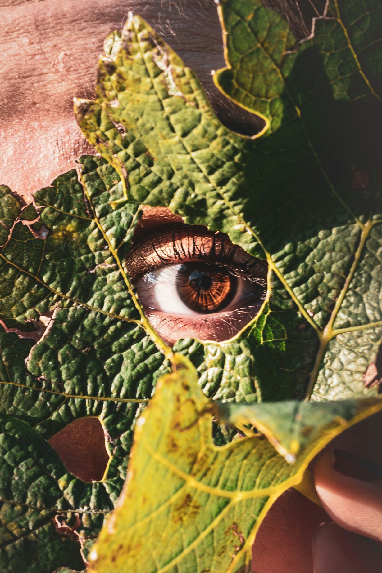 Menschliches Auge schaut durch Blatt eines Baumes.